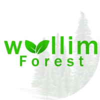 Woollim Forest