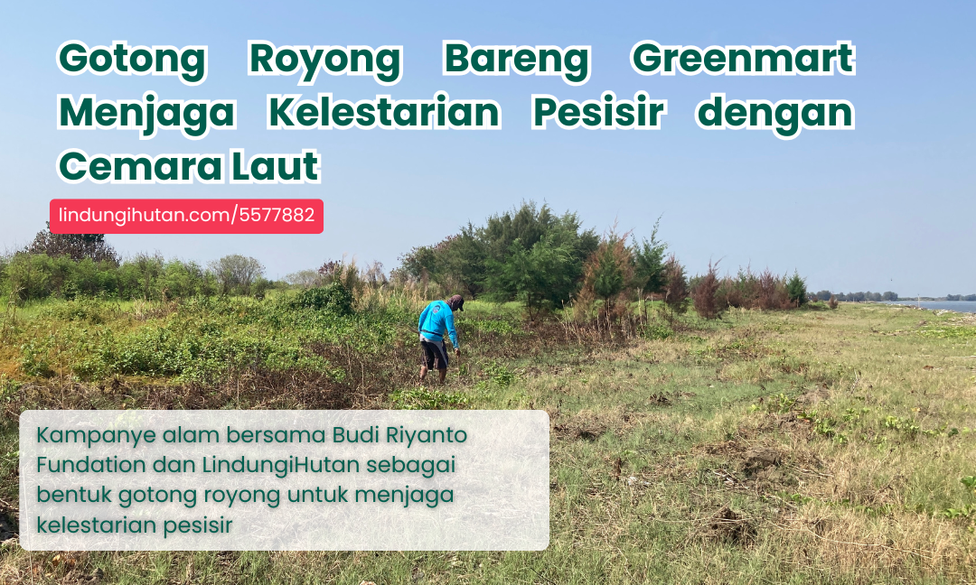 Gambar Kampanye