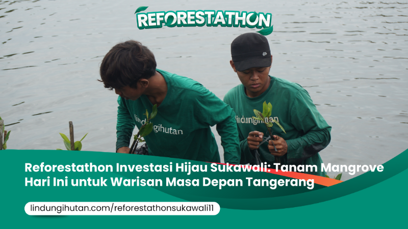 Gambar Kampanye