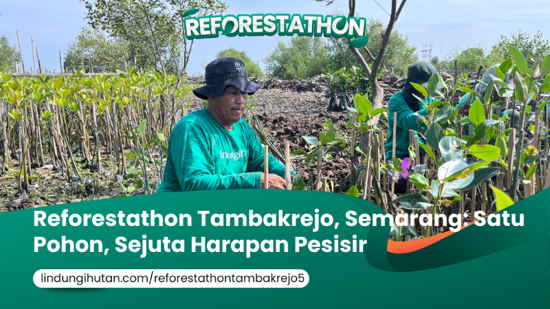 Gambar Kampanye