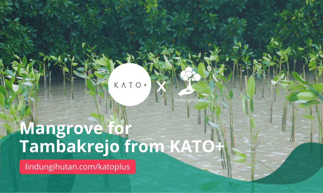 Mangrove for Tambakrejo from KATO+