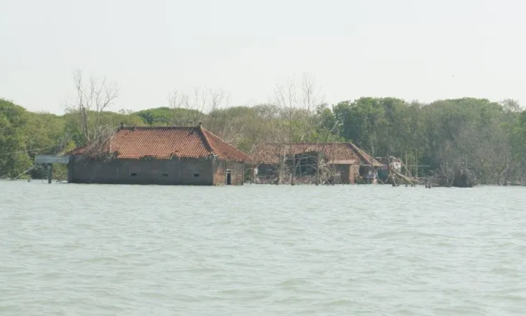 Gambar Kampanye