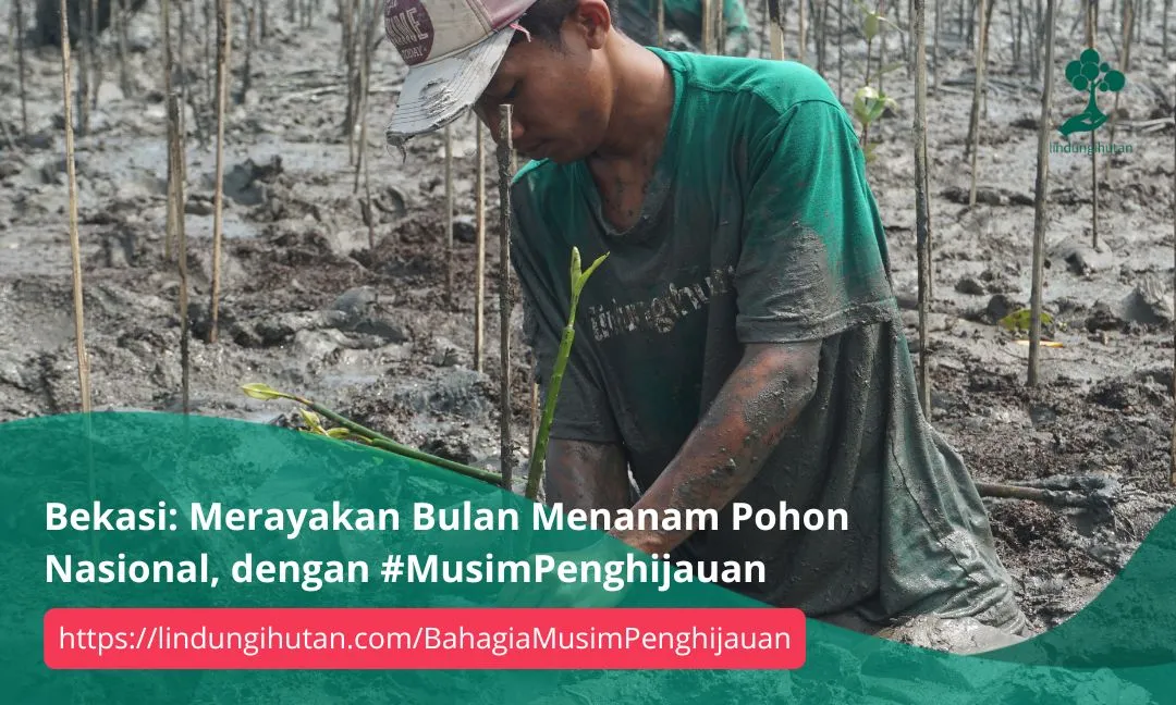 Bekasi: Merayakan Bulan Menanam Pohon Nasional, dengan #MusimPenghijauan