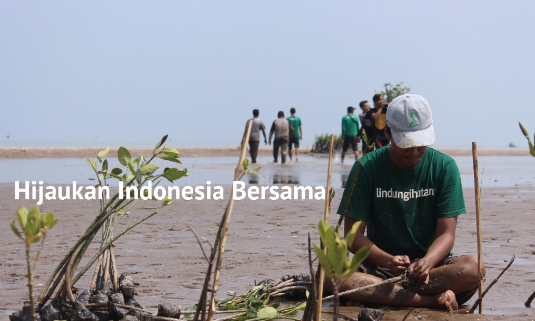 Gambar Kampanye