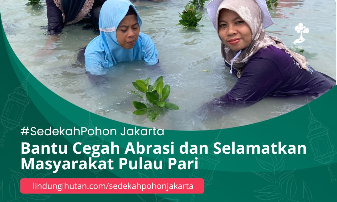 Gambar Kampanye