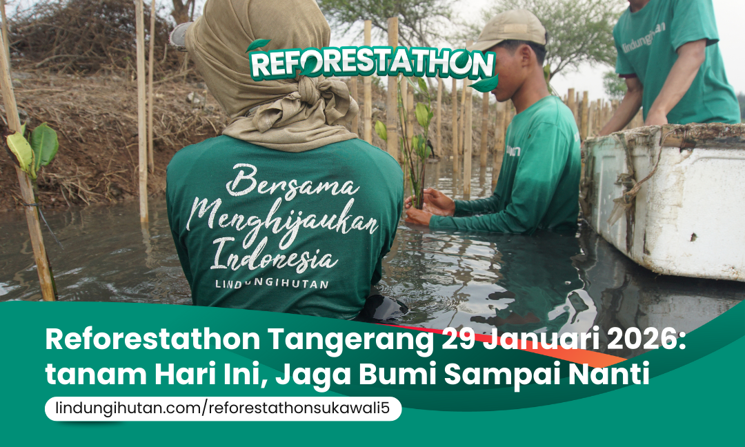 Gambar Kampanye