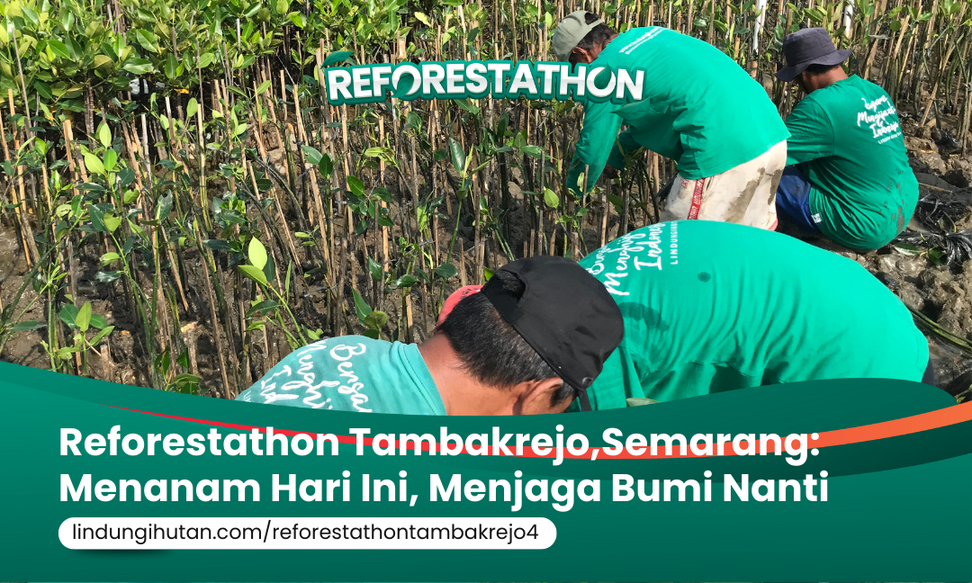 Gambar Kampanye