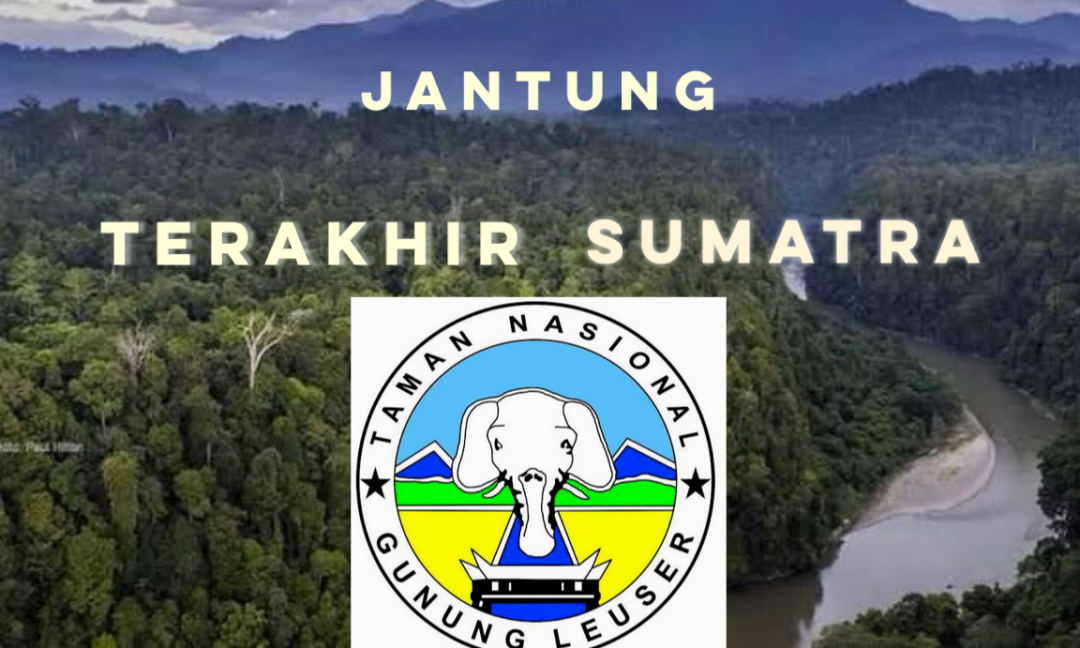 Gambar Kampanye