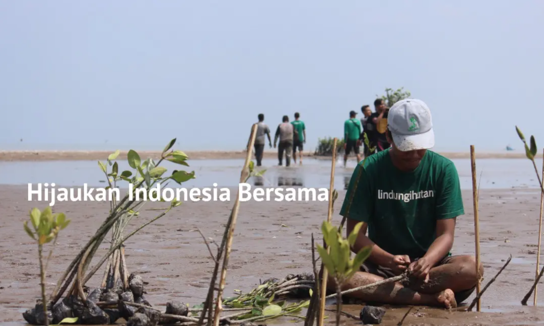 Gambar Kampanye