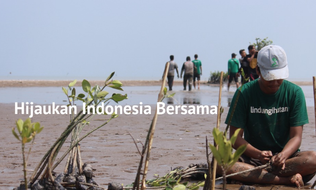Gambar Kampanye