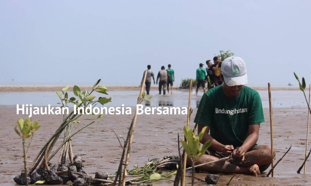 Gambar Kampanye