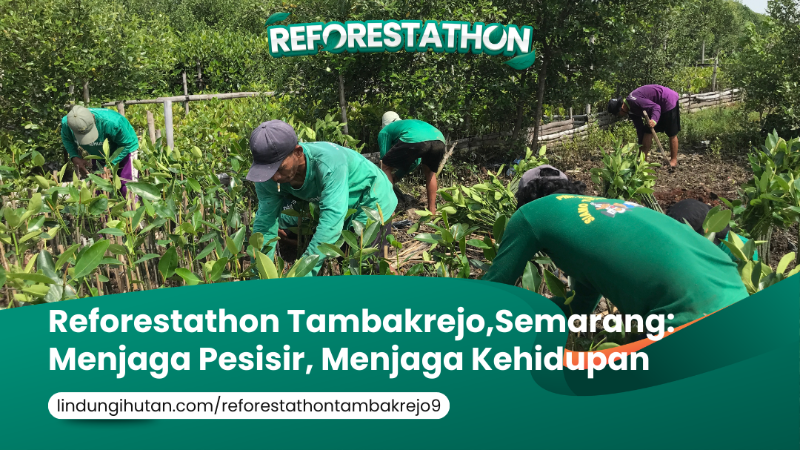 Gambar Kampanye