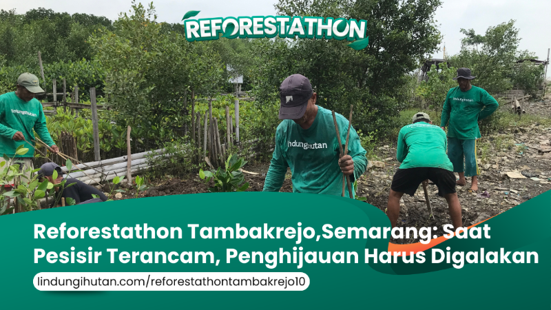 Gambar Kampanye