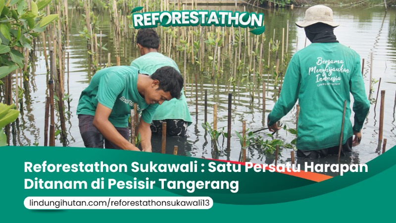 Gambar Kampanye