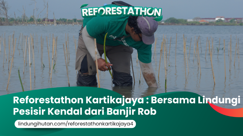 Gambar Kampanye