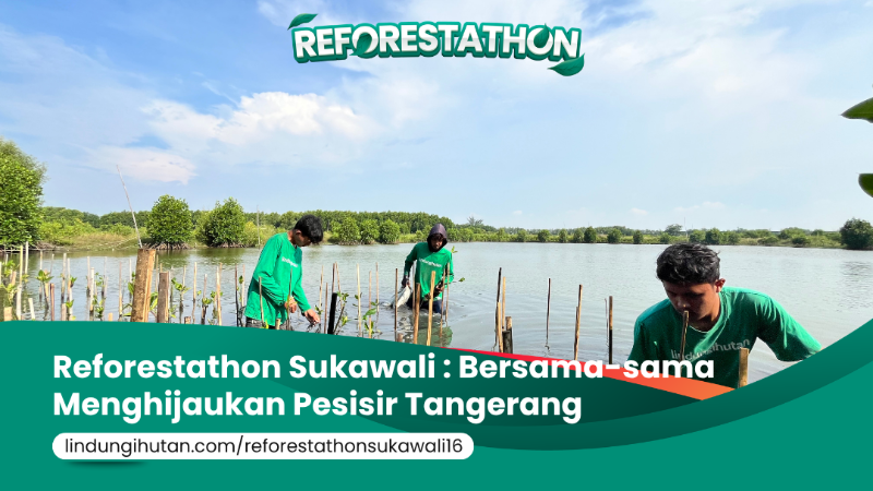 Gambar Kampanye