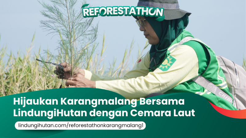 Gambar Kampanye