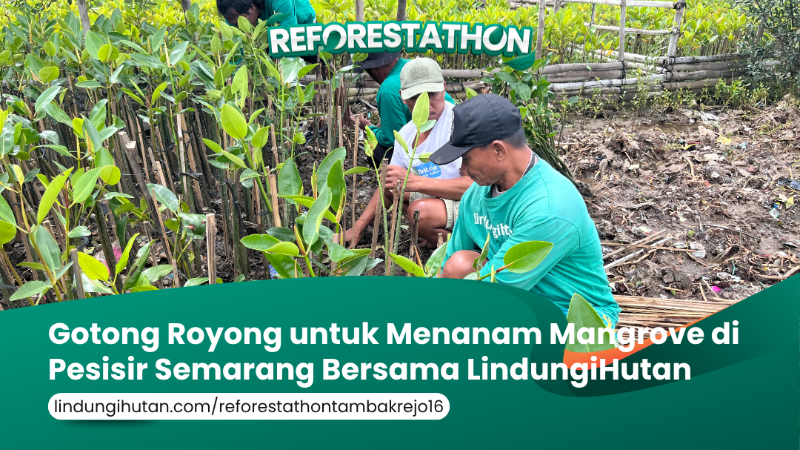 Gambar Kampanye