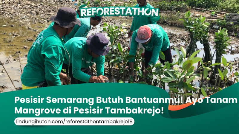 Gambar Kampanye