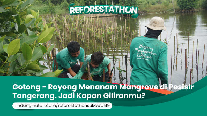 Gambar Kampanye