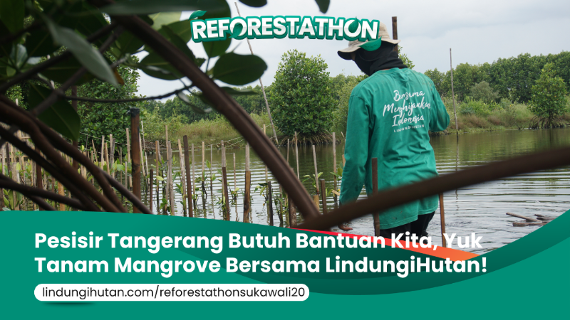 Gambar Kampanye