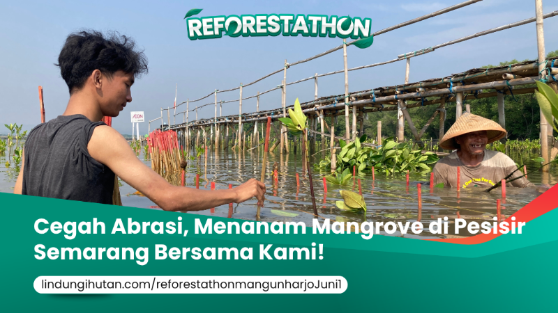Gambar Kampanye