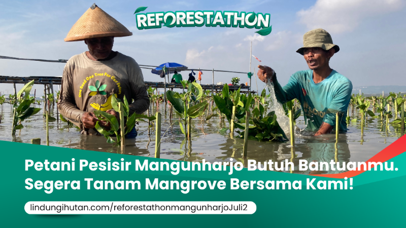 Gambar Kampanye