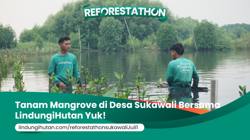 Gambar Kampanye