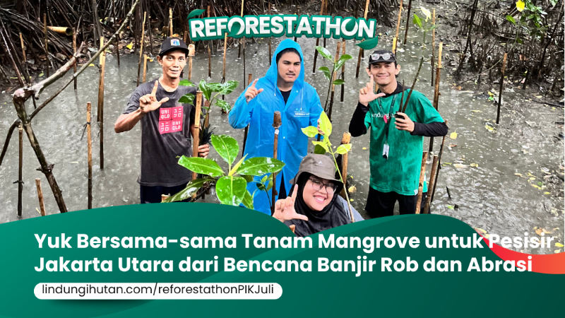 Gambar Kampanye