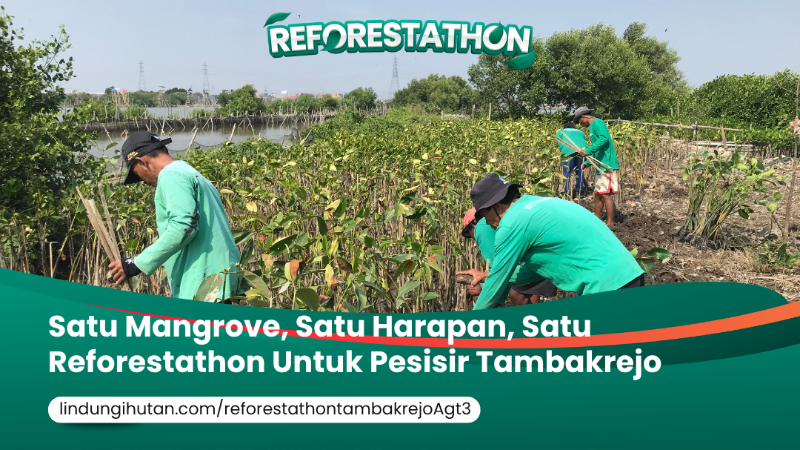 Gambar Kampanye