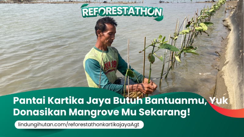 Gambar Kampanye