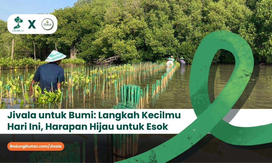 Gambar Kampanye