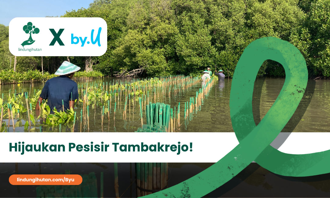 Gambar Kampanye