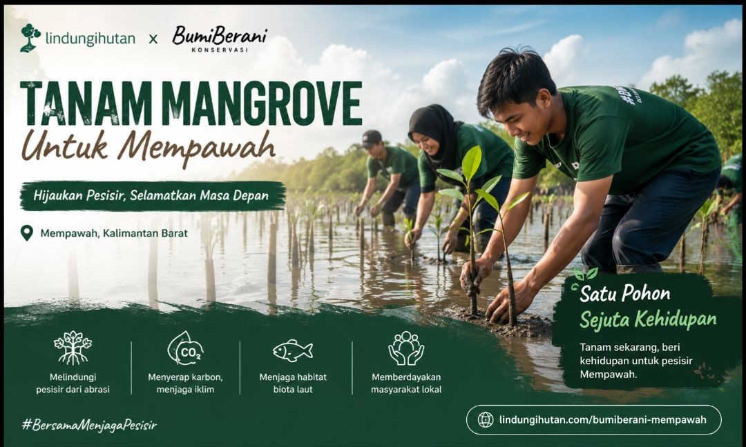 Gambar Kampanye