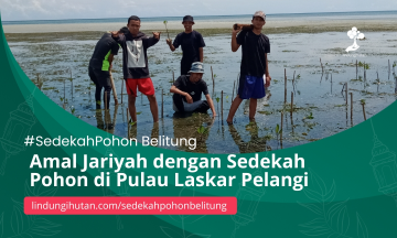 Belitung #SedekahPohon: Berbagai Kebaikan untuk Cegah Bencana dengan Mudah dan Berdampak Sosial-Lingkungan