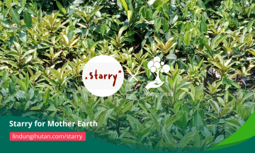 Starry for Mother Earth