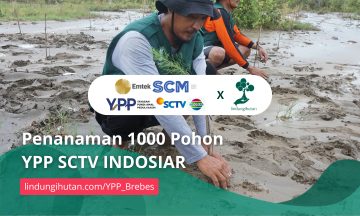 Gambar Kampanye