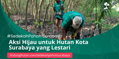 Surabaya #SedekahPohon: Investasi Hijau untuk Hutan Mangrove Wonorejo Senantiasa Lestari