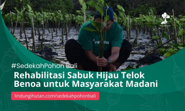Bali #SedekahPohon: Tanam Mangrove untuk Restorasi Lingkungan dan Kesejahteraan Masyarakat