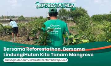 Campaign Misi Reforestathon Tambakrejo: Serentak Menanam, Serentak Memulihkan