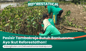Campaign Reforestathon Tambakrejo: Langkah Hijau Kita Untuk Menghijaukan Pesisir Semarang