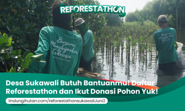 Campaign Bersama Reforestathon Sukawali, Kembalikan Alam Pesisir Tangerang Dari Abrasi