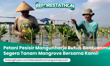 Campaign Reforestathon Mangunharjo, Semarang: Warisan Hijau untuk Pesisir Semarang
