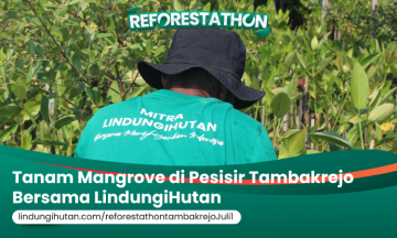 Campaign Reforestathon Tambakrejo,Semarang: Menjaga Pesisir, Menjaga Kehidupan