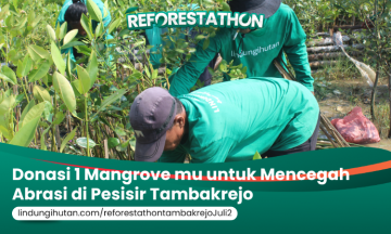 Campaign Reforestathon Tambakrejo: Kolaborasi Hijau untuk Pesisir yang Lebih Lestari