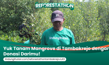 Campaign Reforestathon Tambakrejo,Semarang: Menanam Hari Ini, Menjaga Bumi Sampai Nanti