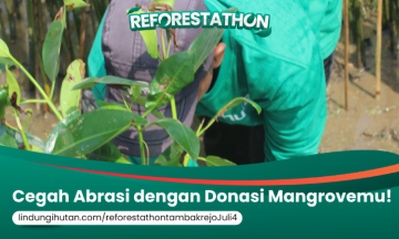 Gambar Kampanye