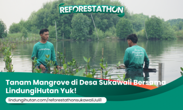 Campaign Reforestathon Sukawali: Berlari Bersama Demi Masa Depan Pesisir Tangerang