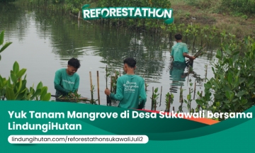 Campaign Reforestathon Sukawali: Dari Garis Start ke Aksi Nyata Pulihkan Pesisir