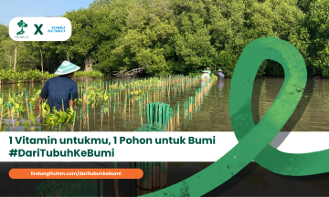 Gambar Kampanye